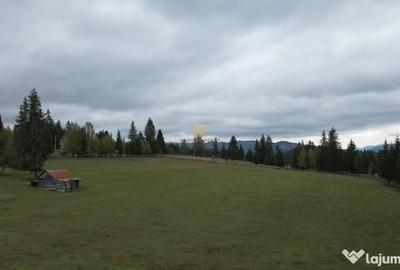 Teren de 16813 mp, în Fundu Moldovei - 9