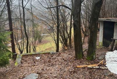 Casă cu 3 camere cu Teren 10000 Mp în Firiza - 2