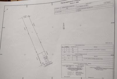 Casă cu 4 camere cu Teren 5000 Mp în Drăgănești - 9
