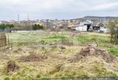 Casă cu Teren 3066 Mp în Sud - 3