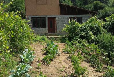 Casă cu 4 camere în Nehoiu - 1