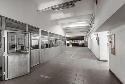 4.049 mp Hale industriale in Arad, aproape de A1 - 19