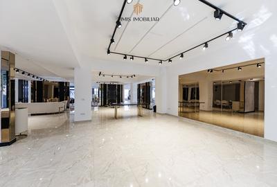 Spațiu comercial, de 450 mp, în Traian - 10