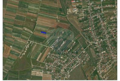 Teren Construcții intravilan de 1417 mp, în Cihei - 5
