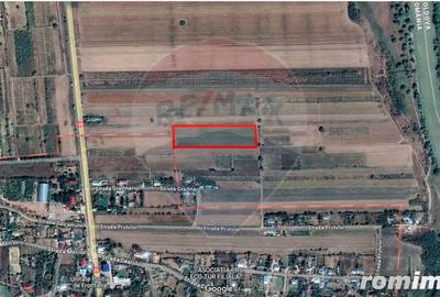 Teren de 7000 mp, în Oancea - 4
