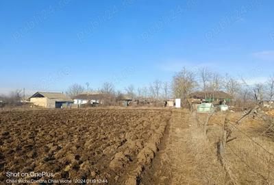 Imobil + teren Chilia Veche Imobil + teren Chilia Veche - 4