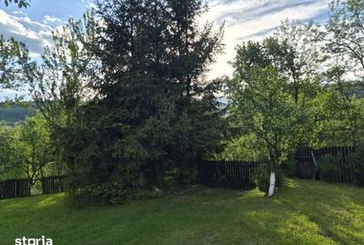 Casă cu 3 camere cu Teren 2250 Mp în Cerașu - 4