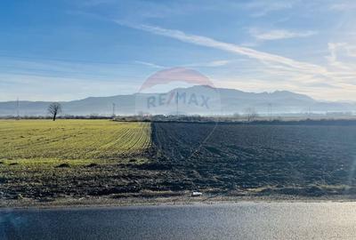Teren agricol de 5000 mp, în Vulcan - 4