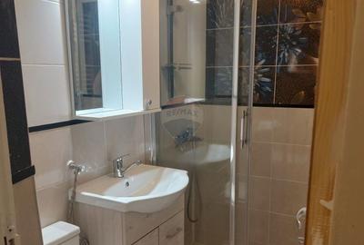 Apartament cu 3 camere decomandat, mobilat în Teiul Doamnei - 11