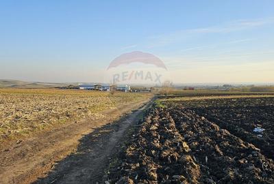 Teren agricol extravilan de 6100 mp, în Stroiești - 6