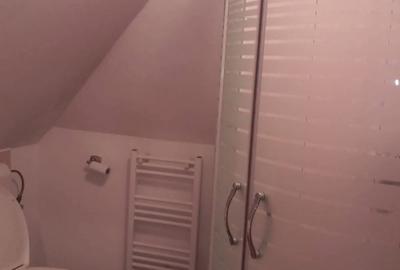 Casă cu 5 camere în Pădureni (Jebel) - 8