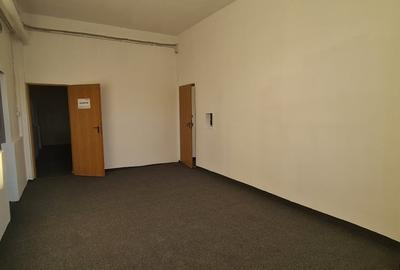 Inchiriere Spatiu/ DEPOZIT 160 mp Calea Chisinaului - 9