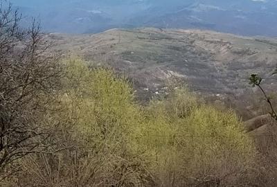 Spațiu comercial, în Mățău - 2