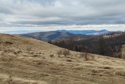 19,5 Ha  TEREN PEISAJ PANORAMIC SPECTACULOS zona turistica montana BULZ -  BIHOR - 14