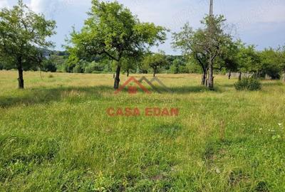 Casă cu Teren 1490 Mp în Voila - 6