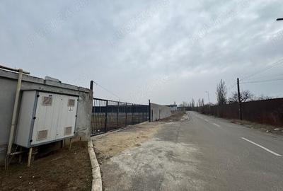 Teren intravilan Chitila , Ilfov - 1