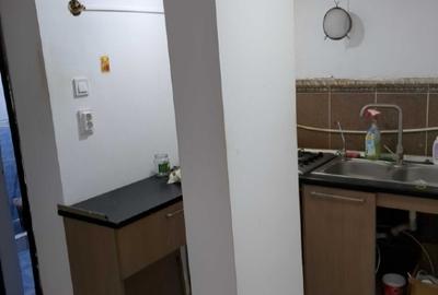 Colentina Parcul Plumbuita, Sector 2 București. - 7