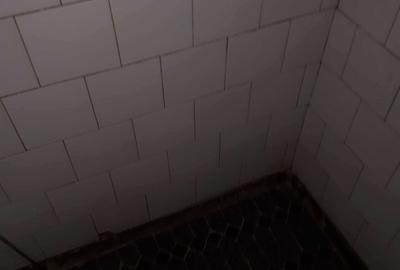 Apartament cu 2 camere decomandat în Viașu - 7