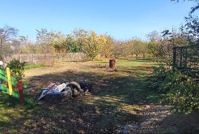 Vand Spatiu Comercial + 2000 mp Cuza Voda Calarasi - 5