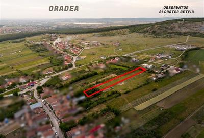 Teren intravilan de 3000 mp, în Betfia - 8