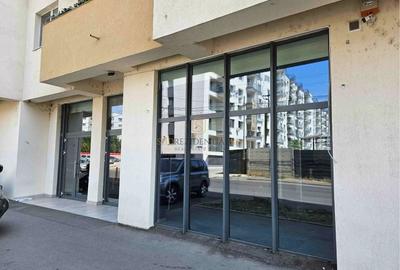 Spatiu comercial stradal, 115.40 mp, Drumul Binelui, Metalurgiei Park - 3