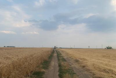 Vanzare Teren Intravilan Tarla 11 Stefanesti DJ200 - 3