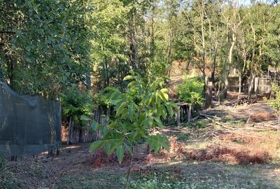 Casă cu 4 camere în Ungheni - 6