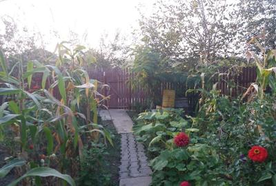 Casă cu 2 camere cu Teren 463 Mp în Central - 2