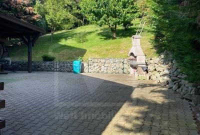 Vila Faget, 3 dormitoare, Petfriendly, 2 bai, 2 terase, curte pavata, gradina - 8