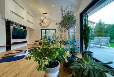 UNICA/ABSOLUT SUPERBA/ VILA INDIVIDUALA/IANCU NICOLAE/CURTE GENEROASA - 30