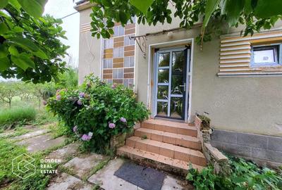 Casa cu D+P+E, 3500 mp teren, zona centrala, Paulis - 4