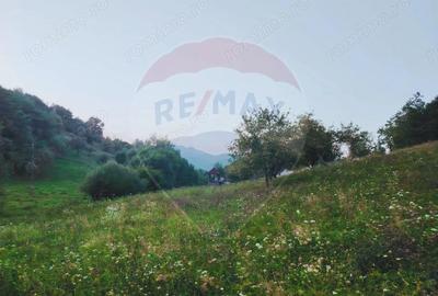 EXCLUSIVITATE! Teren 2339 mp in Barsana - Comision 0%! - 6