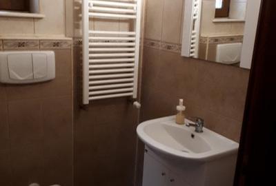 Vila P+1, 240 mpu, curte 670 mp, la 20 km de Bucuresti in Gruiu, Calarasi - 9