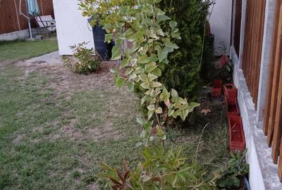 Apartament cu 3 camere decomandat în Ștefănești - 8