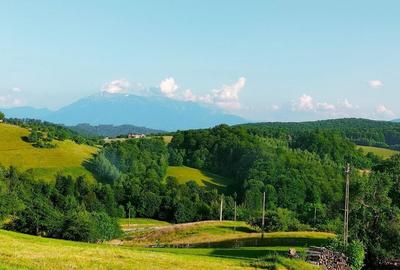 Casă cu 2 camere cu Teren 50000 Mp în Poiana Mărului - 5