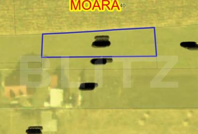 Teren de 895 mp, în Central