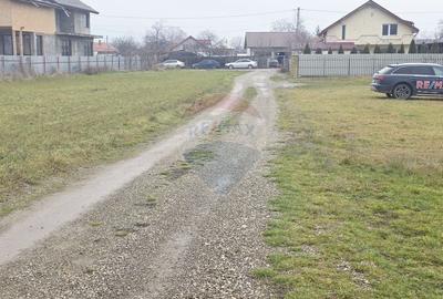 Teren 519mp Dumbrava Rosie / Strada CRANGULUI - 2