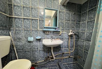 Garsoniera de inchiriat Dumbrava - 1