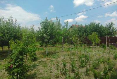 Casă cu 5 camere cu Teren 684 Mp în Podu Roș - 14