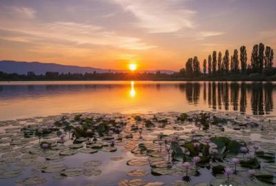 Teren de 5000 mp, în Siliștea Snagovului - 2