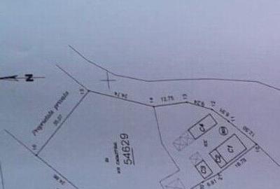 Casă cu 3 camere cu Teren 2472 Mp în Tămășeu - 3