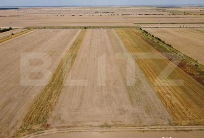 Teren de 7500 mp, în Central - 1