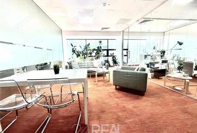 Spațiu comercial, de 441 mp, în Romană - 6