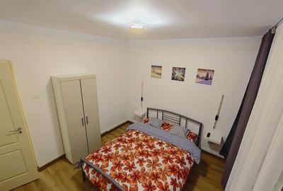 Apartament cu 2 camere decomandat, mobilat în Viitorului - 3