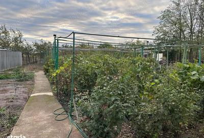 Casă cu 4 camere cu Teren 1840 Mp în Central - 4