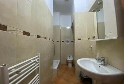 Spatiu de birouri, Zona Baile Neptun, str. Dionisie Lintia - 3