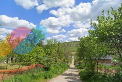 Casa individuala 100mp cu teren 8000mp - 2