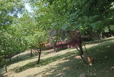 Casă cu 3 camere în Central - 7