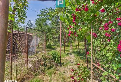 Casă cu 3 camere cu Teren 846 Mp în Pârneava
