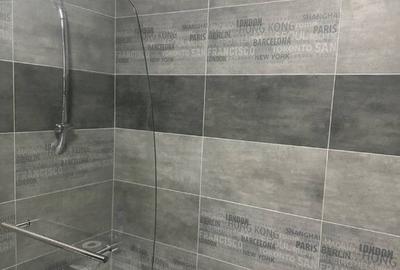 Apartament cu 2 camere situat in zona Intre Lacuri - 3